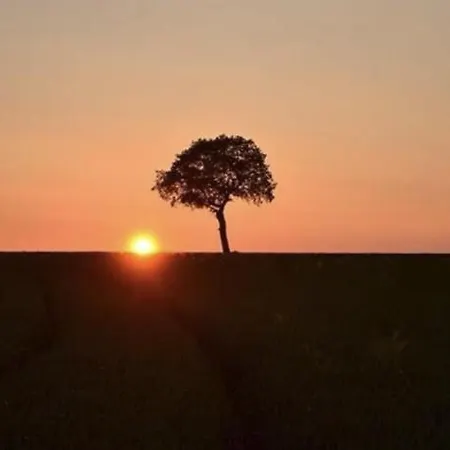 La Chaumiere Longues-sur-Mer