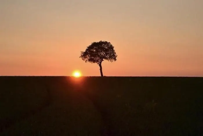 La Chaumiere Longues-sur-Mer